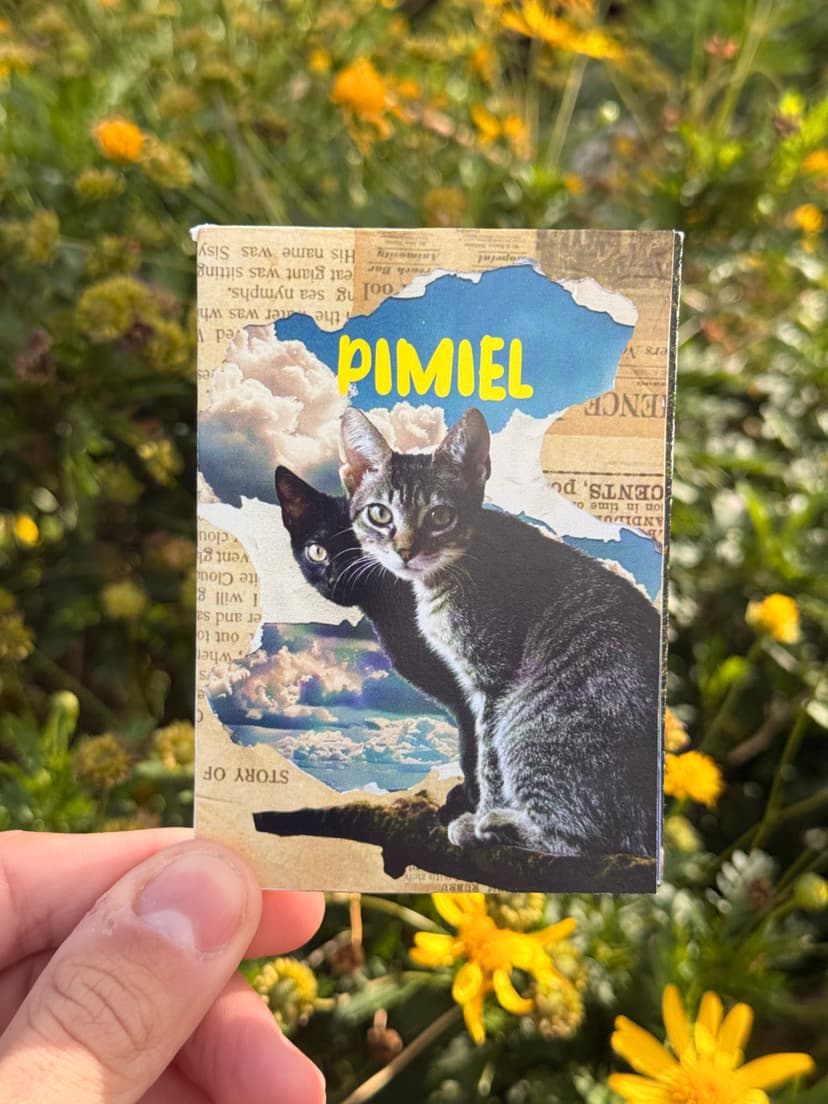 Pimiel